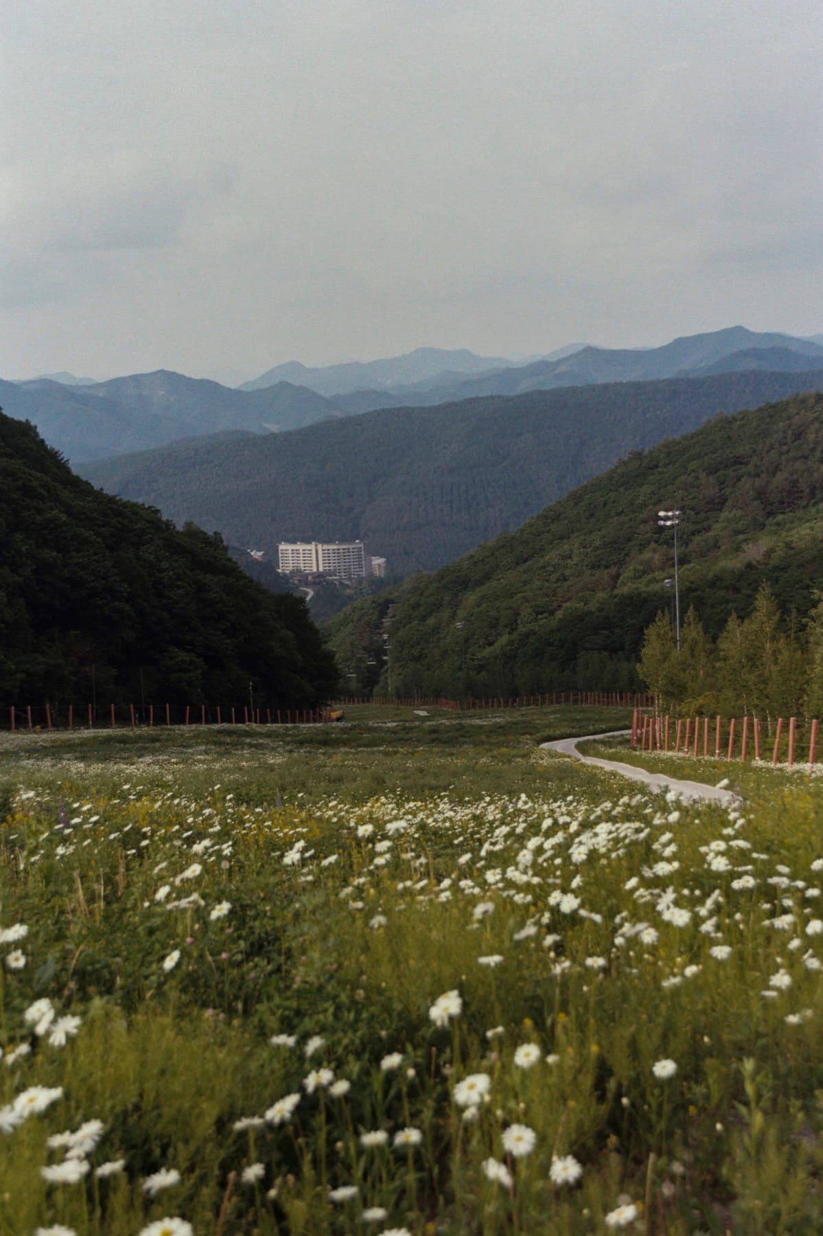 초원 너머로 보이는 산맥과 리조트